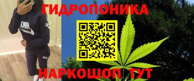прущий лед Пугачёв