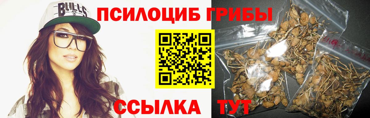 Галлюциногенные грибы GOLDEN TEACHER  Вход с VPN  Осинники  Галлюциногенные грибы ЛСД 