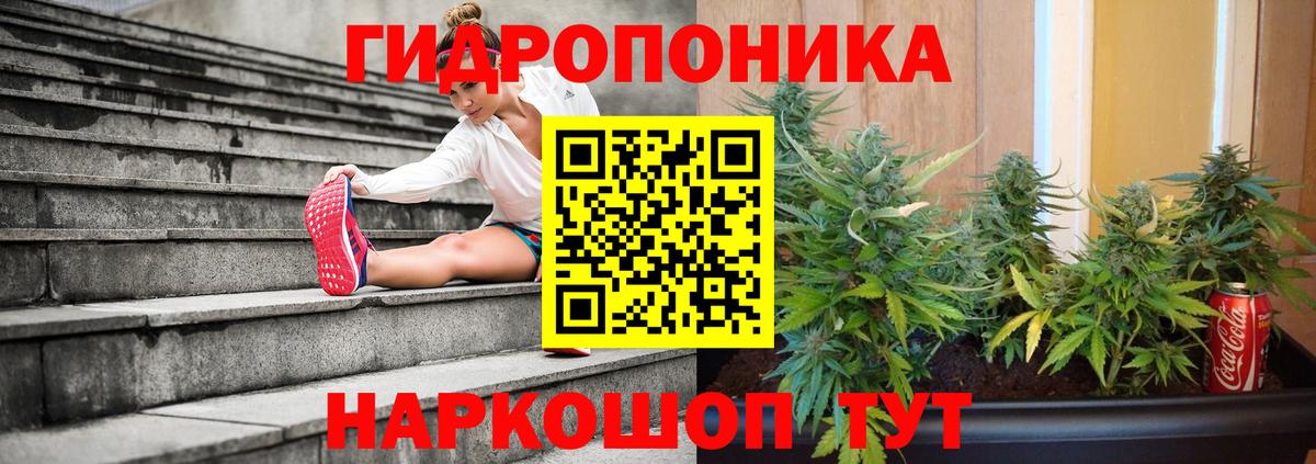 Марихуана индика Осинники